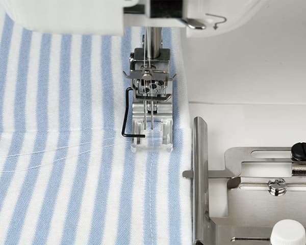 Прозрачная лапка